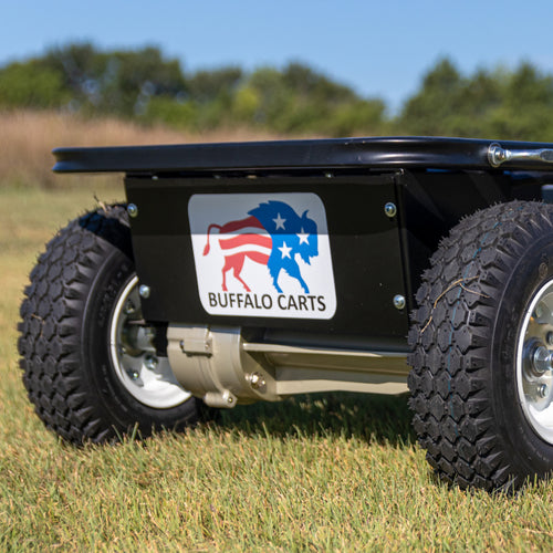 Buffalo Carts electric drive motor close-up