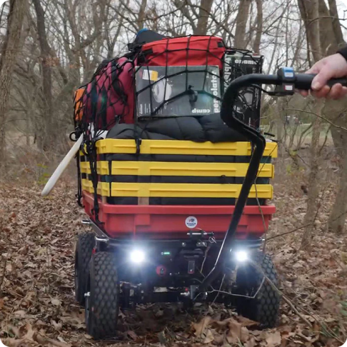 Buffalo Cart LED lights lit in forest at night