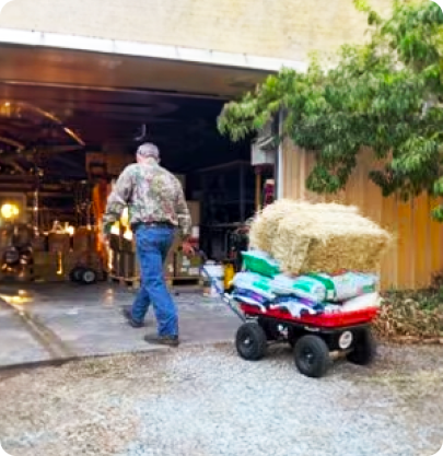 Farmer pulling hay bale to barn on cart