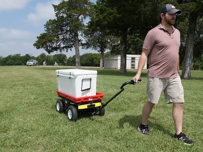 Sports & Camping Electric Cart